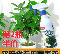 家庭养花用生根粉