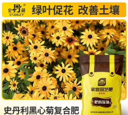 月菊需要什么肥料