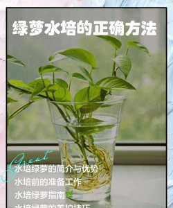 绿化景观设计，提升环境品质，创造宜人空间