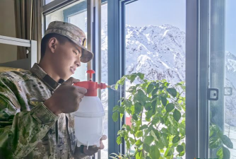 家庭养花用生根粉