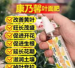 家庭养花用生根粉