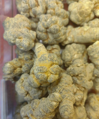 好的三七是什么