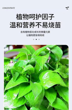 家庭养花用生根粉