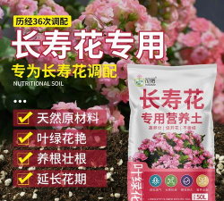 家庭养花用生根粉