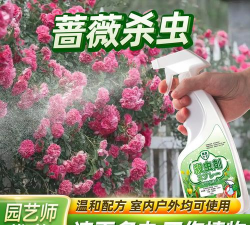 蔷薇生虫用什么药
