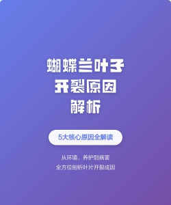 葡萄栽培，掌握关键技术，实现优质丰产