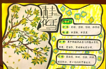 葡萄栽培，掌握关键技术，实现优质丰产