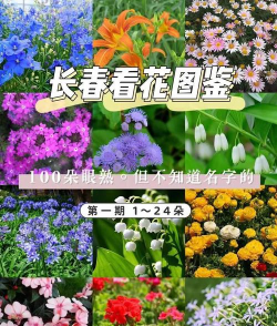 葡萄栽培，掌握关键技术，实现优质丰产