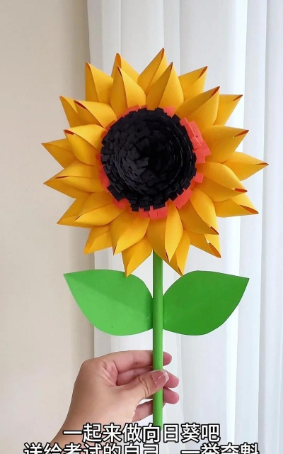 葡萄栽培，掌握关键技术，实现优质丰产