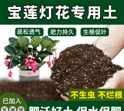 家庭养花用生根粉