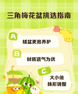 如何挑选三角梅