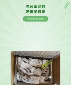 雪莲果整件如何保存