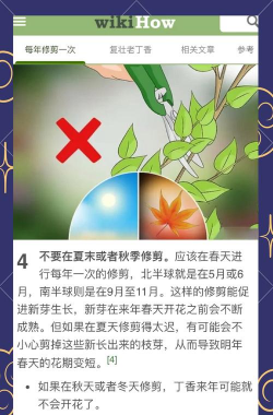 紫丁香开花后怎么修剪