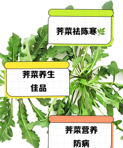天天吃荠菜有什么坏处