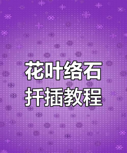 玫瑰花怎么养才不会枯萎，掌握浇水施肥技巧，轻松延长花期