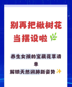 楸树的花什么作用