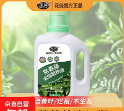 家庭养花用生根粉