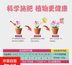 家庭养花用生根粉