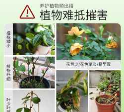 家庭养花用生根粉