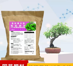 香樟树施什么肥最好