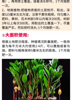 金钱木适合浇什么肥