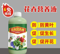 家庭养花用生根粉