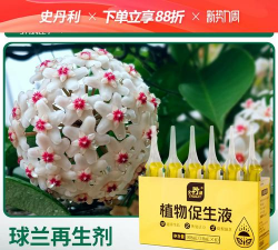 家庭养花用生根粉