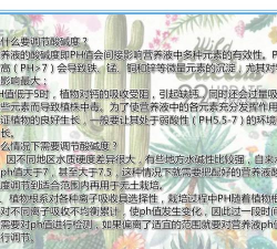 家庭养花用生根粉