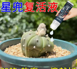 家庭养花用生根粉