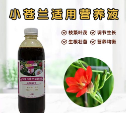 家庭养花用生根粉