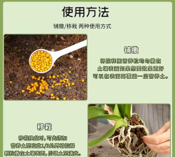 家庭养花用生根粉