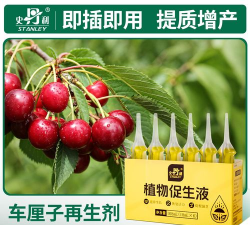 家庭养花用生根粉