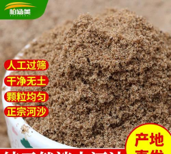天然河沙 养花