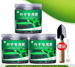 竹子施肥施什么肥好