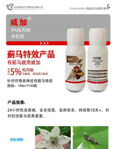 蓟马用什么虫子药