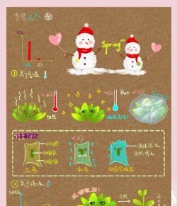 浙江冬季多肉如何过冬