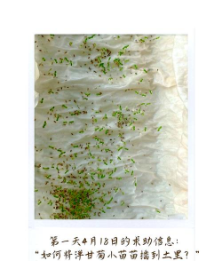 没种完的花种怎么保存