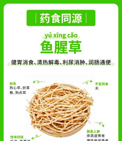 鱼腥草又称什么草