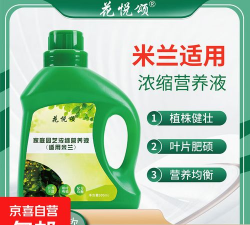 家庭养花用生根粉