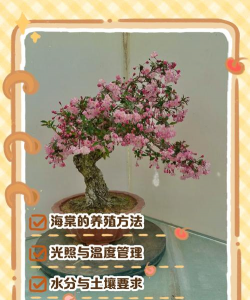 海棠花怎么养成盆景