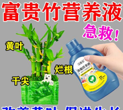 家庭养花用生根粉