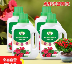 家庭养花用生根粉