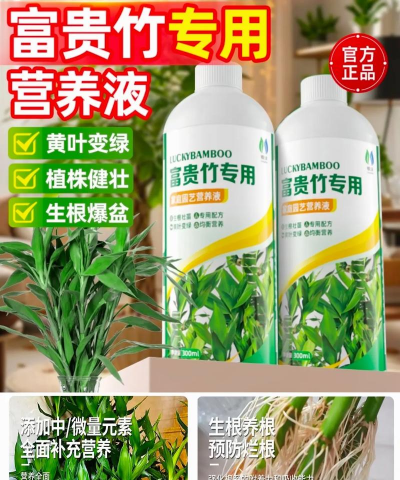 家庭养花用生根粉