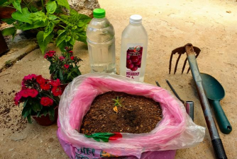 家庭养花用生根粉