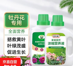 家庭养花用生根粉