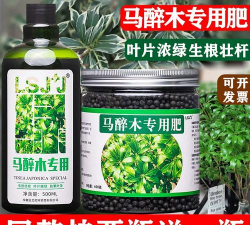 家庭养花用生根粉