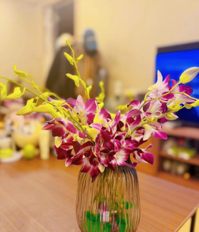 泰国洋兰配什么花好看