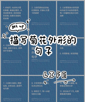 什么的菊花修饰语