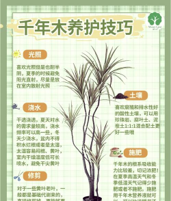 养树养死了寓意是什么