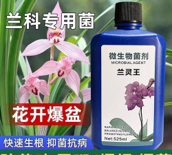 家庭养花用生根粉